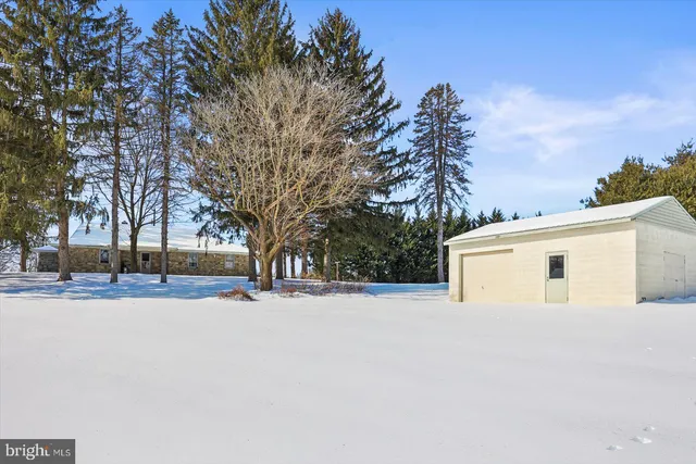 a view of a trees in a yard