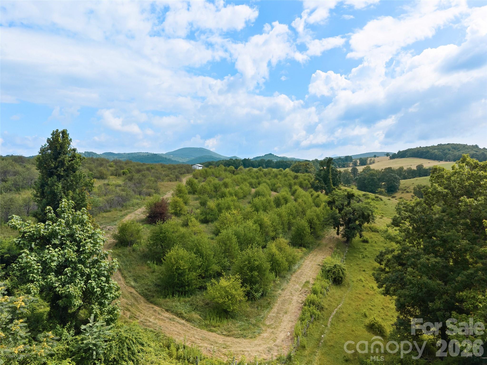 0 Summer Road, Unit 5 Hendersonville, NC 28792 - Photo 13 of 20