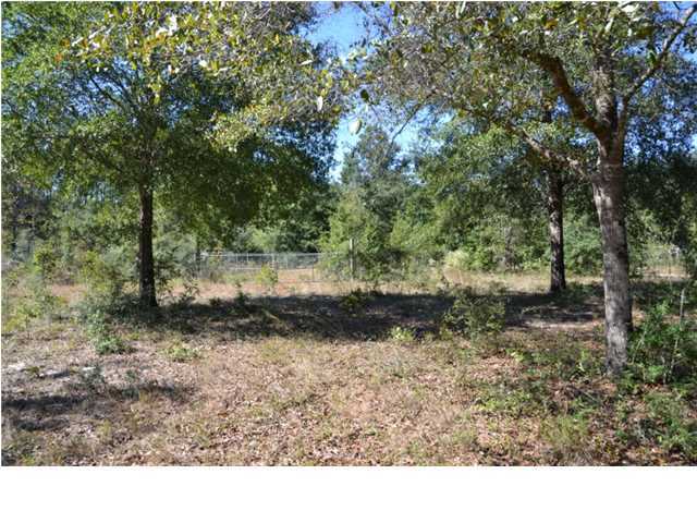 1920 Cotton Creek Road Baker, FL 32531 - Photo 11 of 22 Additional Photo