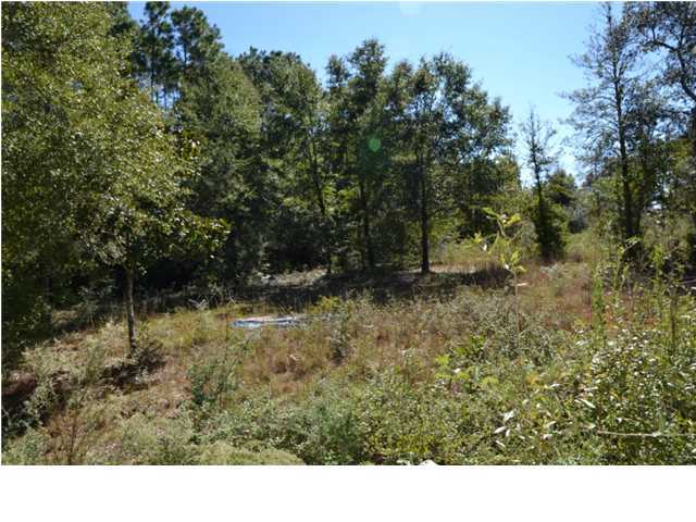 1920 Cotton Creek Road Baker, FL 32531 - Photo 15 of 22 Additional Photo