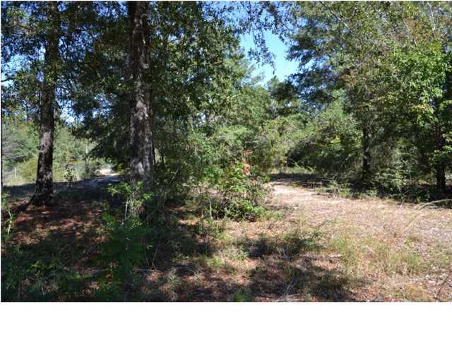 1920 Cotton Creek Road Baker, FL 32531 - Photo 17 of 22 Additional Photo