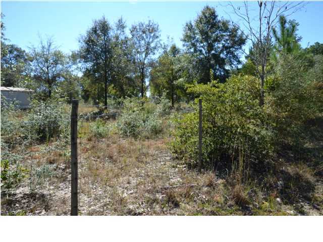 1920 Cotton Creek Road Baker, FL 32531 - Photo 21 of 22 Additional Photo