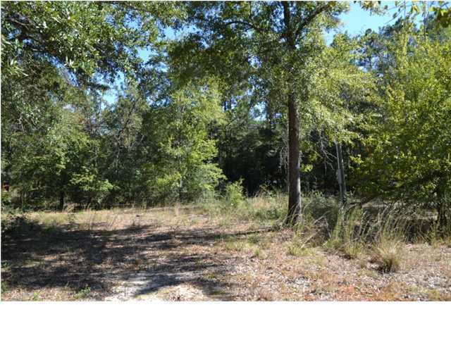 1920 Cotton Creek Road Baker, FL 32531 - Photo 4 of 22 Additional Photo