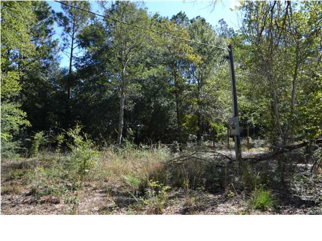 1920 Cotton Creek Road Baker, FL 32531 - Photo 5 of 22 Additional Photo
