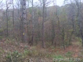 0 Hwy 9 Rd Mill Spring Mill Spring, NC 28756 - Photo 3 of 10