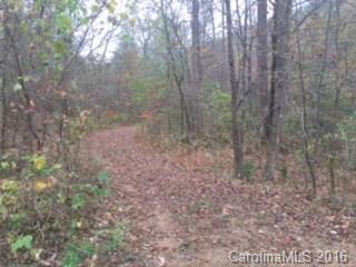 0 Hwy 9 Rd Mill Spring Mill Spring, NC 28756 - Photo 7 of 10