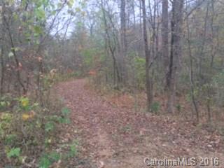 0 Hwy 9 Rd Mill Spring Mill Spring, NC 28756 - Photo 8 of 10