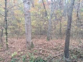 0 Hwy 9 Rd Mill Spring Mill Spring, NC 28756 - Photo 10 of 10