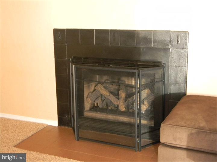 10 Derby Road Swedesboro, NJ 08085 - Photo 4 of 18 Fireplace