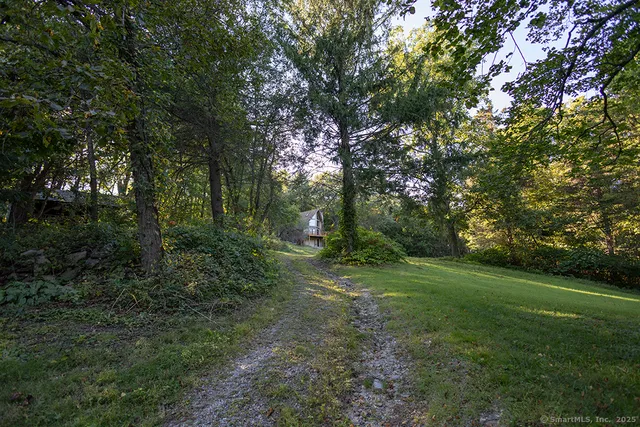 a view of a forest with trees