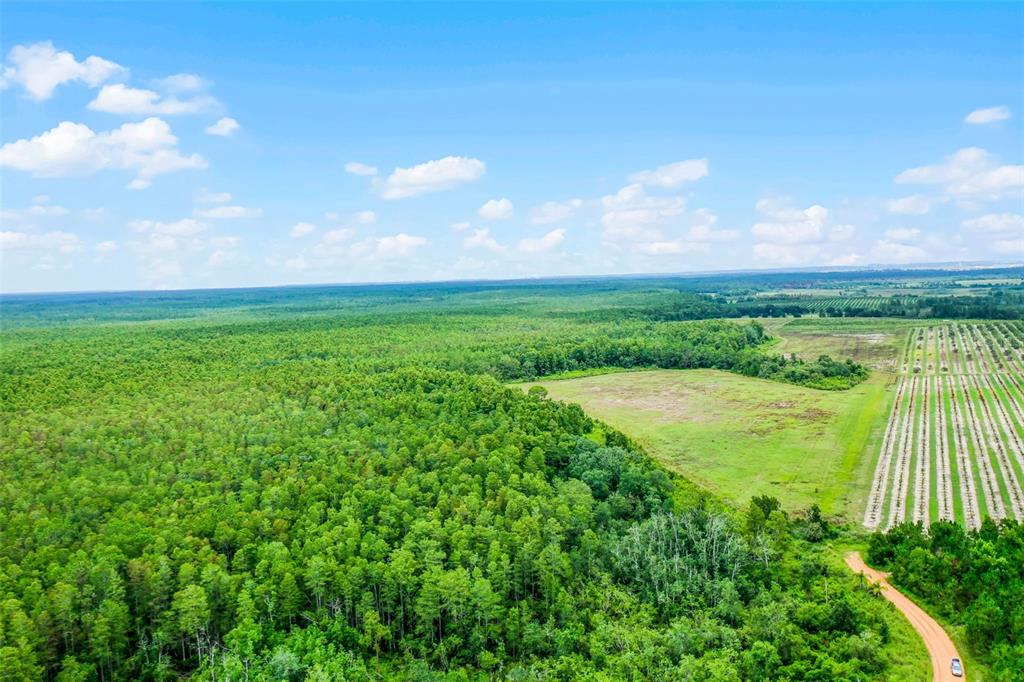 South Boggy Marsh Road Clermont, FL 34714 - Photo 3 of 26 a view of an outdoor space and a yard