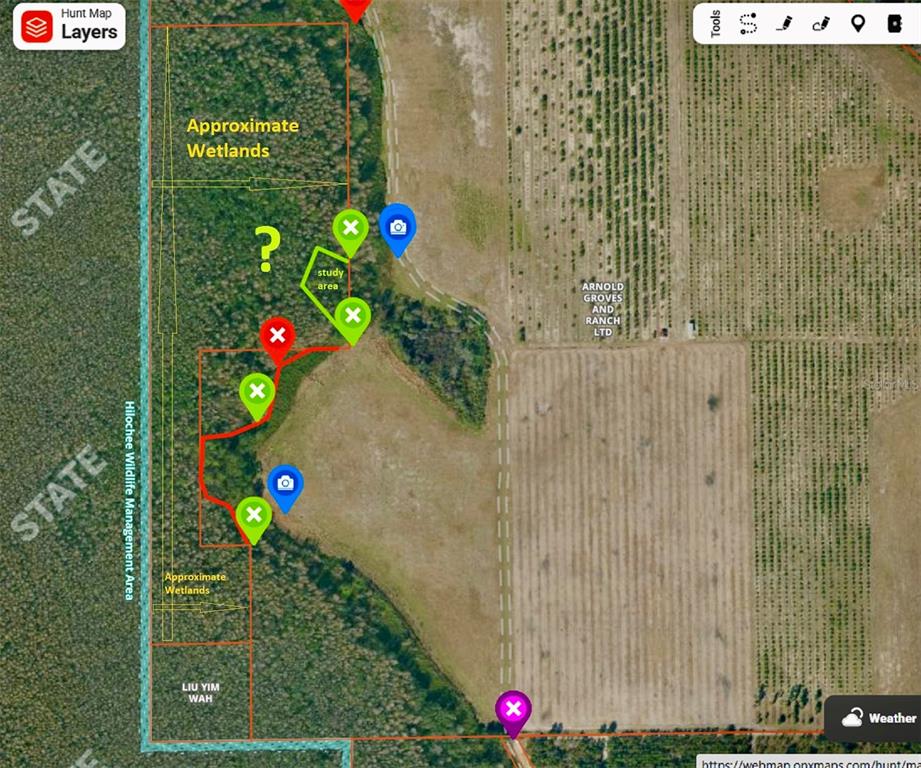 South Boggy Marsh Road Clermont, FL 34714 - Photo 6 of 26