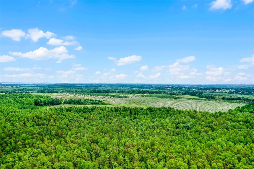 South Boggy Marsh Road Clermont, FL 34714 - Photo 10 of 26 a view of lake with green space