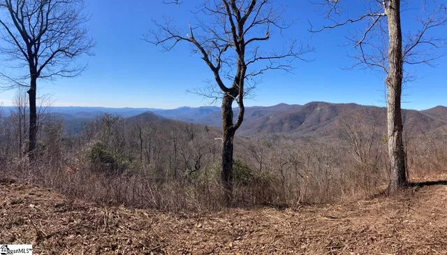 $325,000 | 1506 Panther Park Trail, Travelers Rest, SC 29690