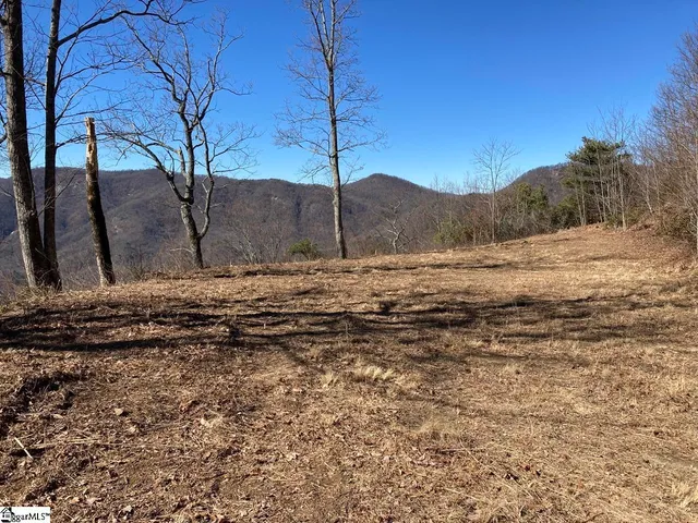 $325,000 | 1506 Panther Park Trail, Travelers Rest, SC 29690