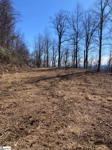 $325,000 | 1506 Panther Park Trail, Travelers Rest, SC 29690