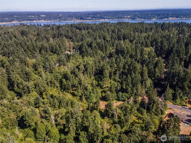 a view of a city with lush green forest