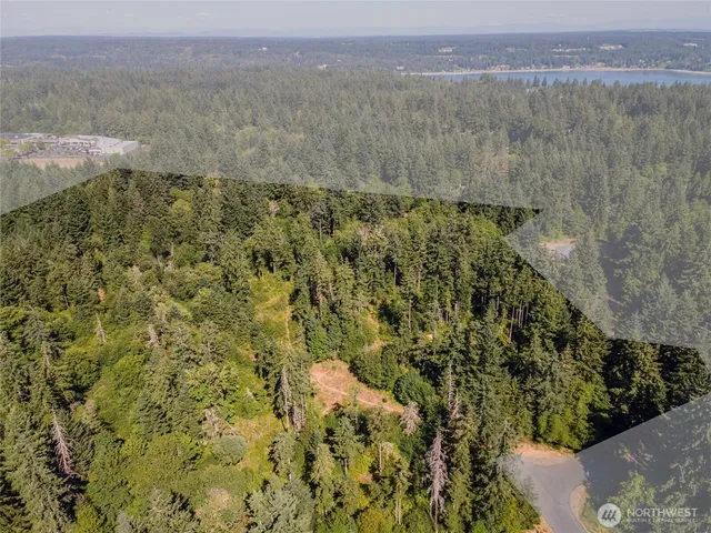 a view of a lot of trees and bushes