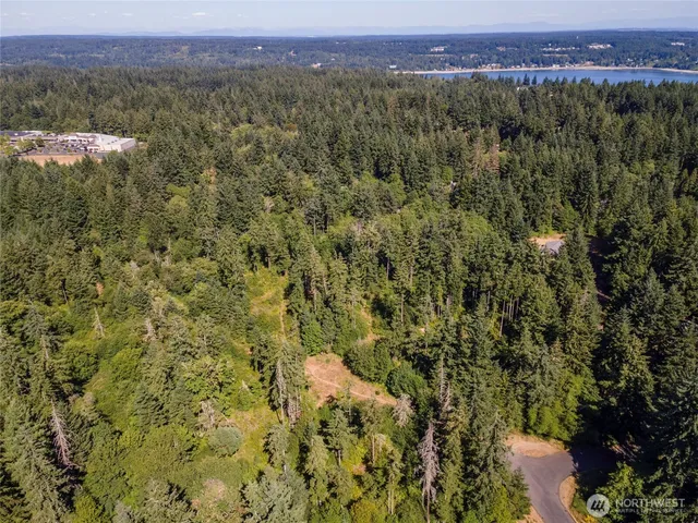a view of a city with lush green forest