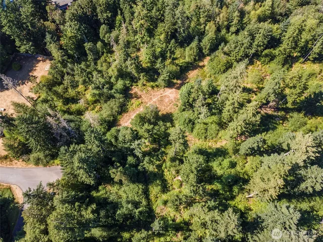 a view of a house with a tree