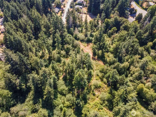a view of a house with a lush green forest