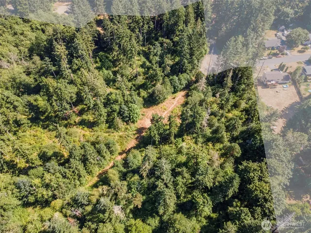 a view of a garden with a tree