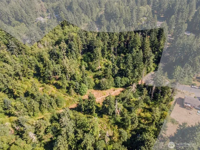 a view of a city with lush green forest