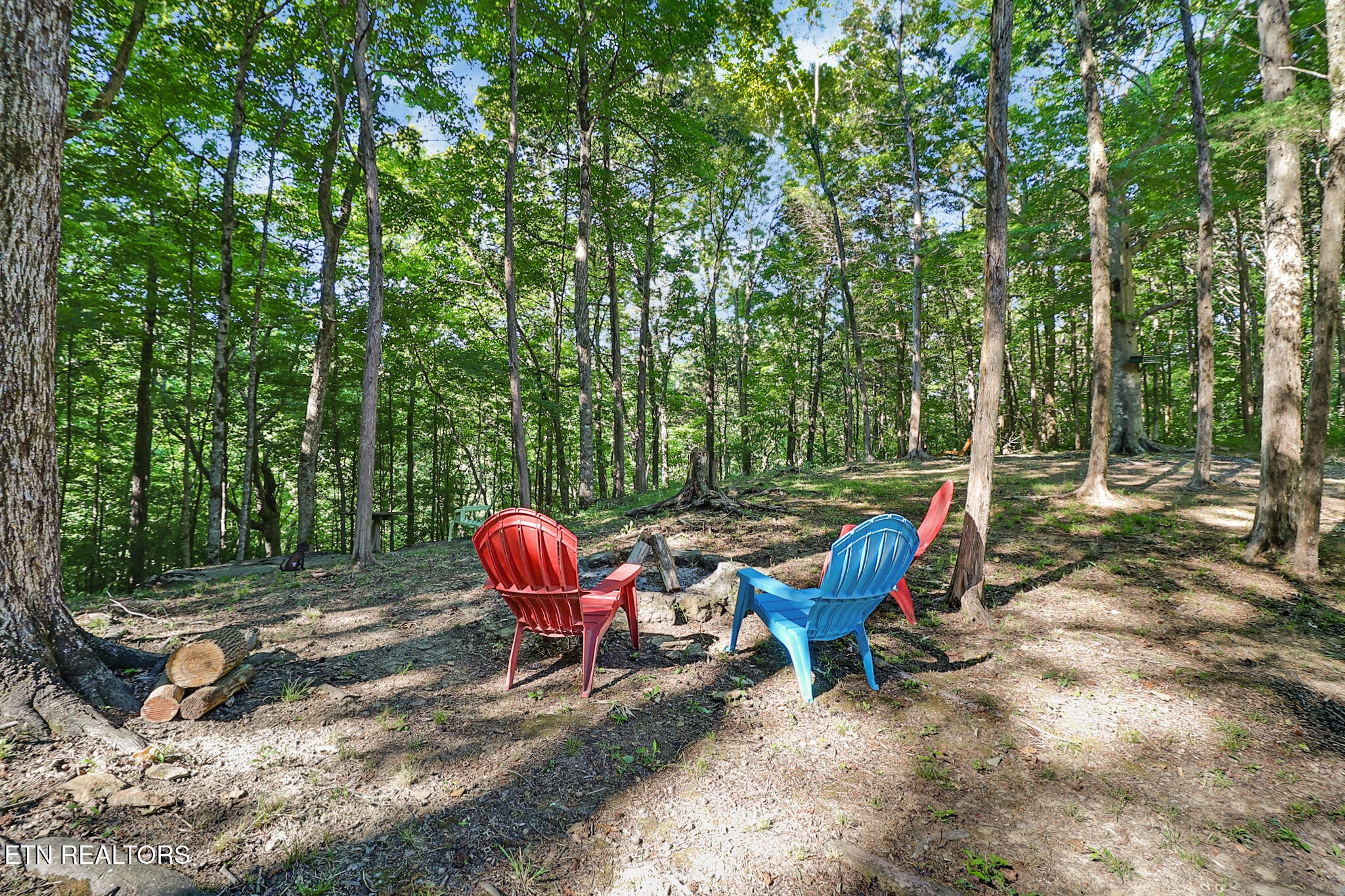 737 Edd Linder Road Jamestown, TN 38556 - Photo 46 of 57 Gallery Image 46