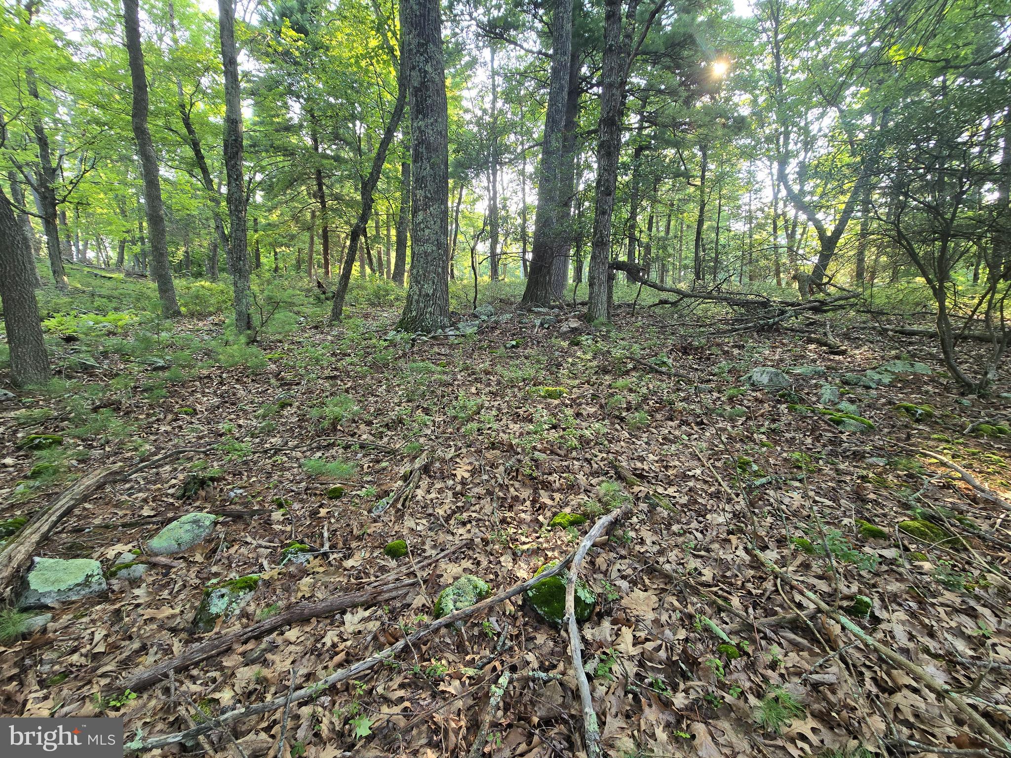 Lot # Highland Ridge Franklin, WV 26807 - Photo 12 of 19 Gallery Image 12