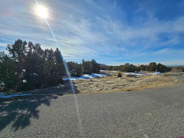 a view of an ocean and a yard