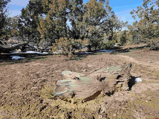 a view of a road with an ocean