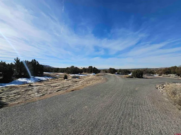 a view of a yard with snow on the road