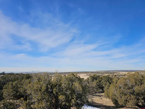 a view of city and ocean