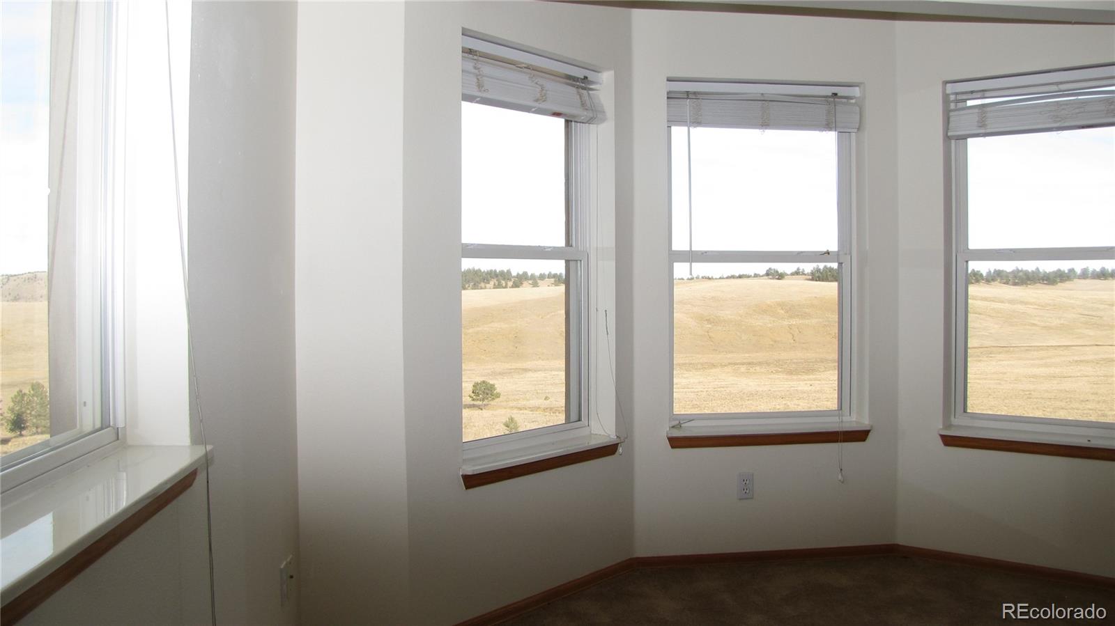 3542 Campfire Road Hartsel, CO 80449 - Photo 20 of 21