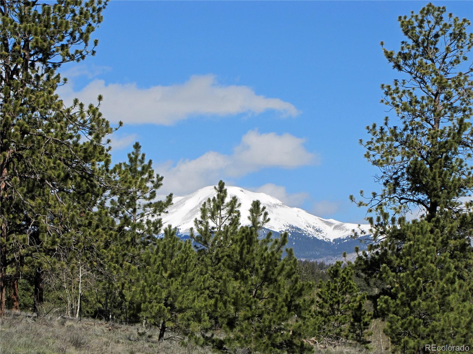 3542 Campfire Road Hartsel, CO 80449 - Photo 4 of 21
