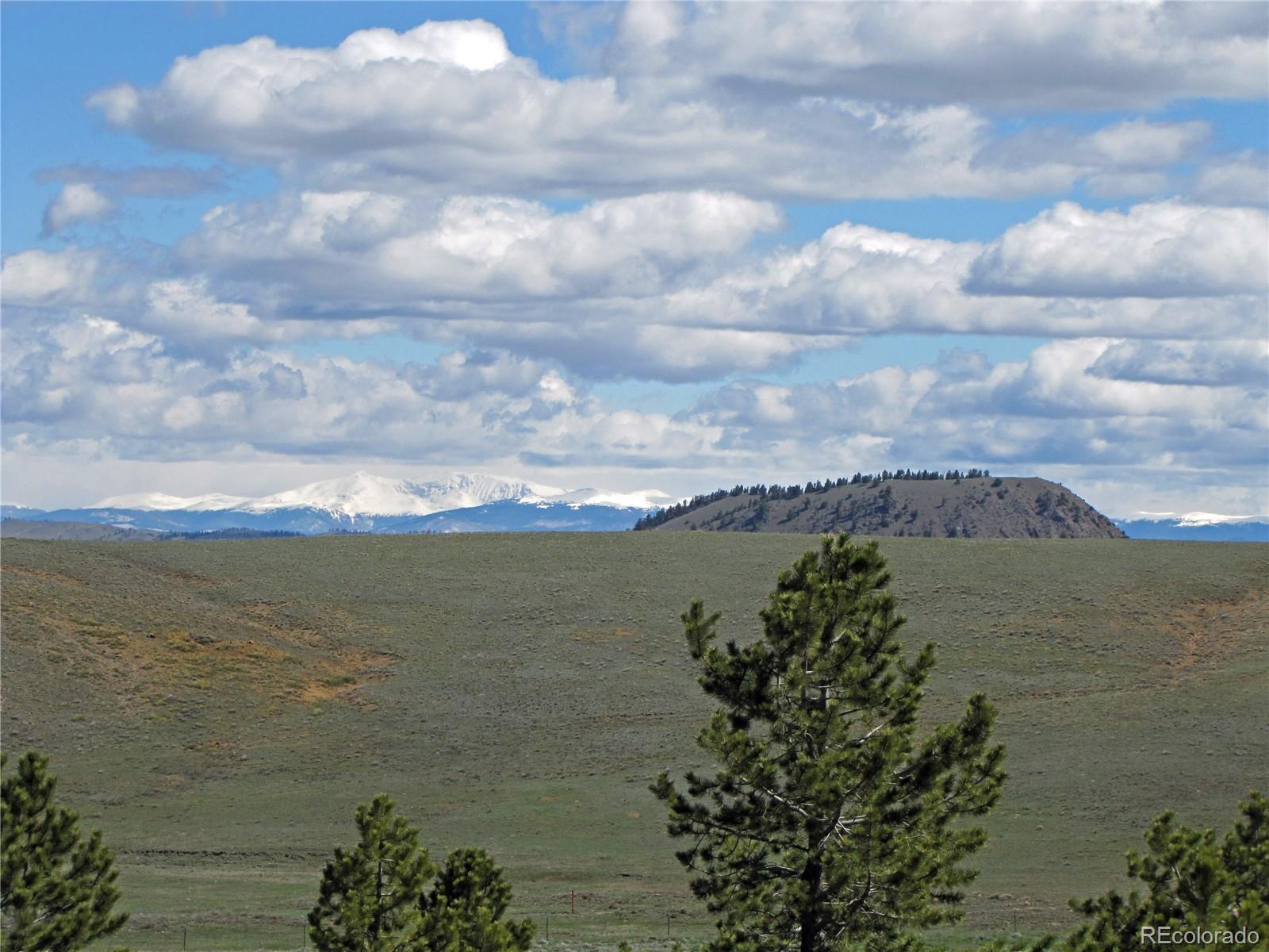 3542 Campfire Road Hartsel, CO 80449 - Photo 7 of 21