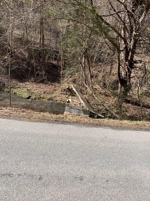 7249 Old Mill Road, Unit 31 Glade Spring, VA 24340 - Photo 4 of 4 Gallery Image 4