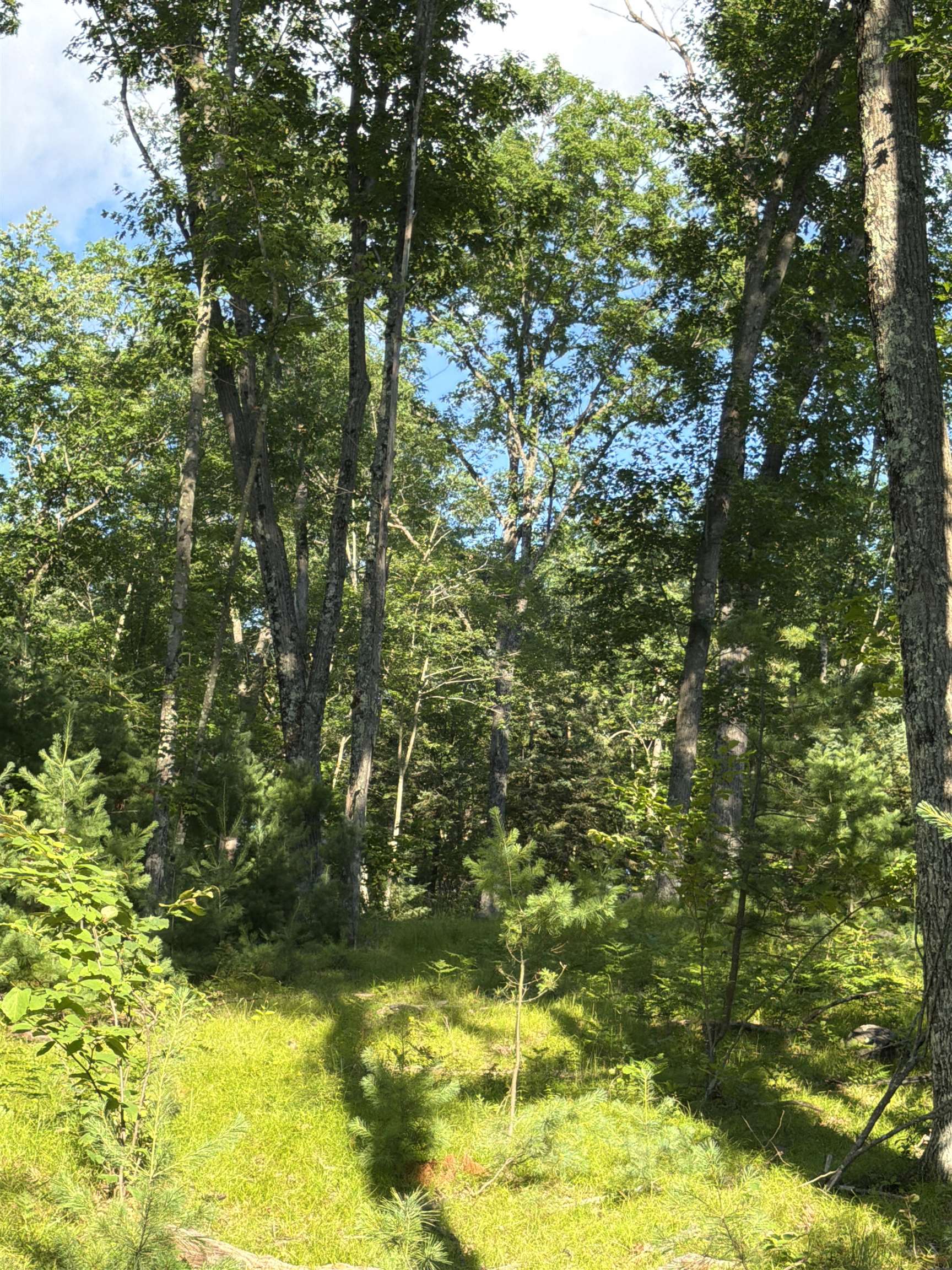Lot 8 Rhett Lane, Unit 8 Wausaukee, WI 54177 - Photo 15 of 16