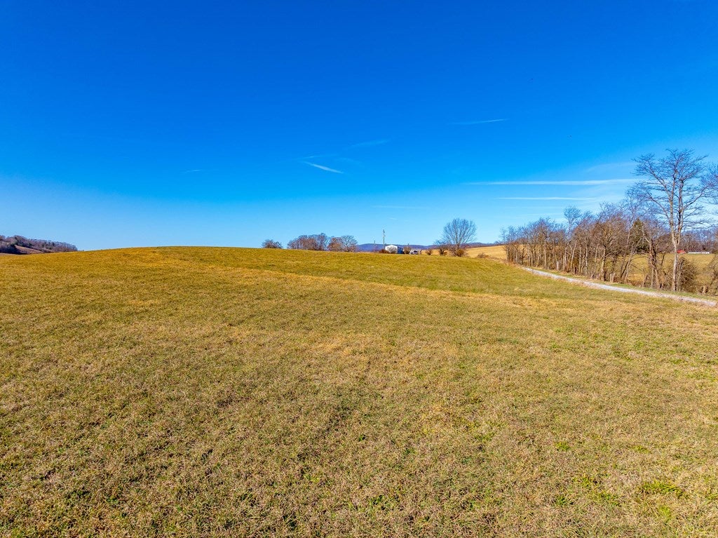 Tbd Gap Of Ridge Road Rural Retreat, VA 24368 - Photo 17 of 85 Gallery Image 17