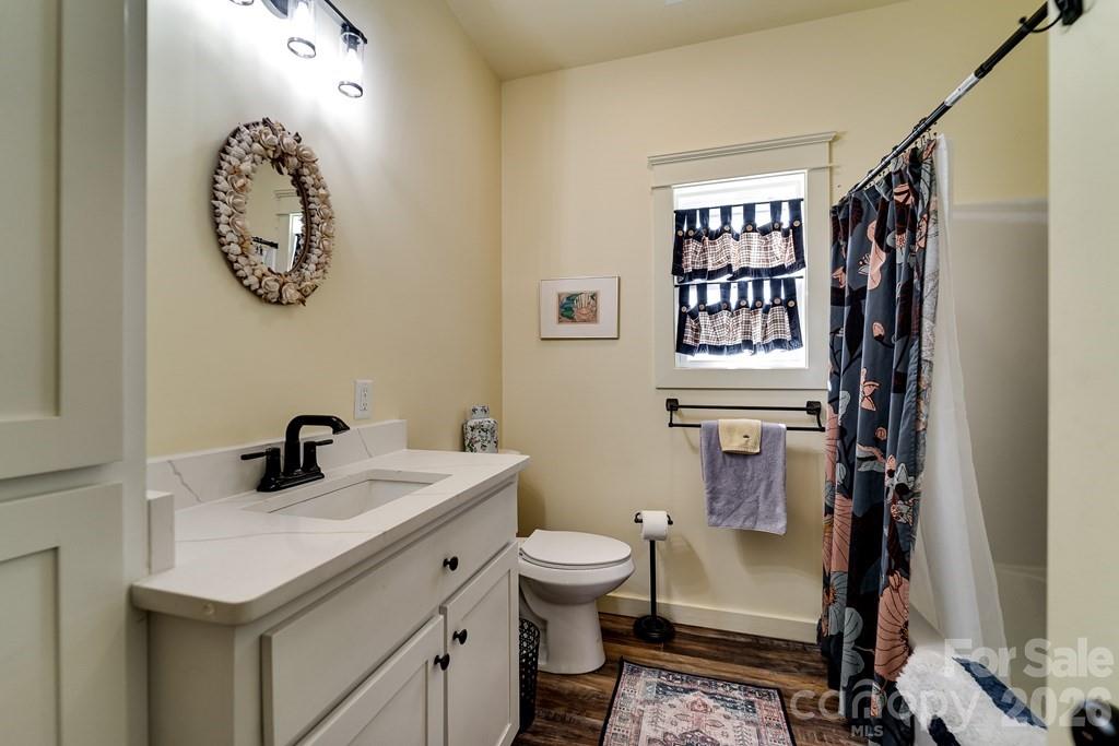 190 Fort Hembree Road Hayesville, NC 28904 - Photo 15 of 18 a bathroom with a toilet a sink and a mirror
