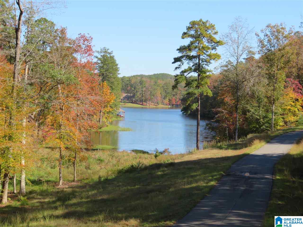 907 Preserve Road Rockford, AL 35136 - Photo 40 of 45