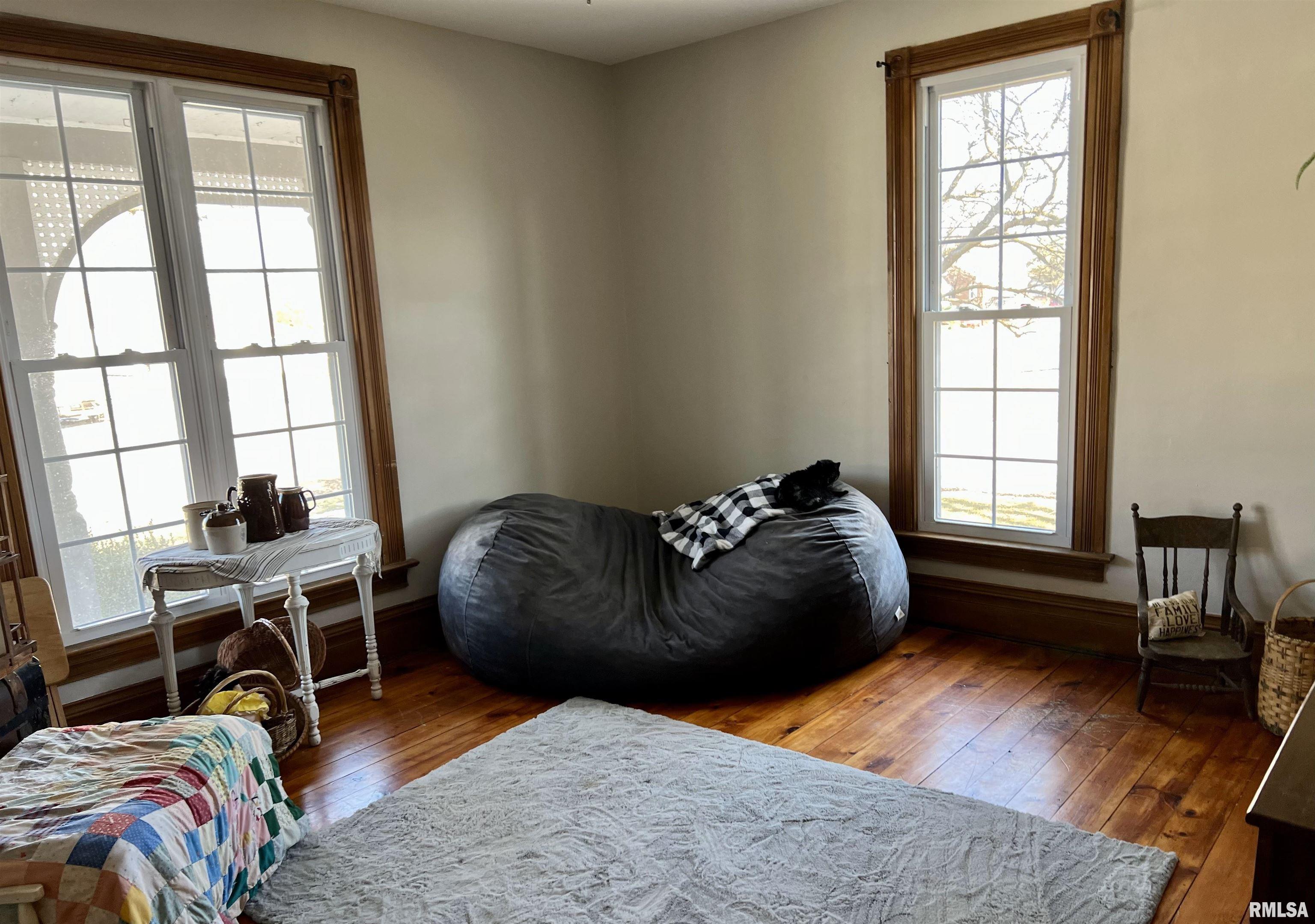 102 West Lorton Street Roodhouse, IL 62082 - Photo 29 of 43 Gallery Image 29