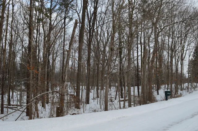 $99,900 | 0 Willow Road, Saline, MI 48176