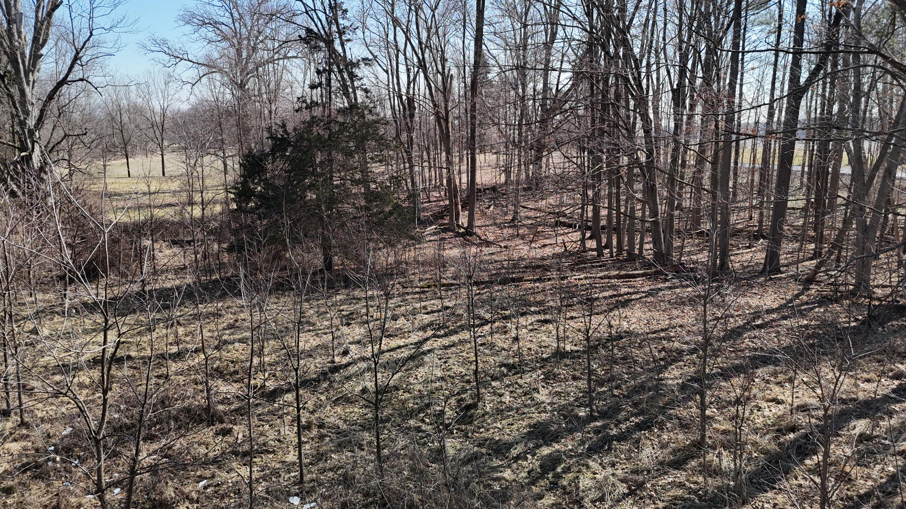 0 Willow Road Saline, MI 48176 - Photo 13 of 20 Ariel picture North side