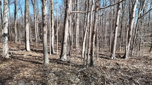 $99,900 | 0 Willow Road, Saline, MI 48176