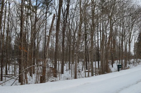 $99,900 | 0 Willow Road, Saline, MI 48176