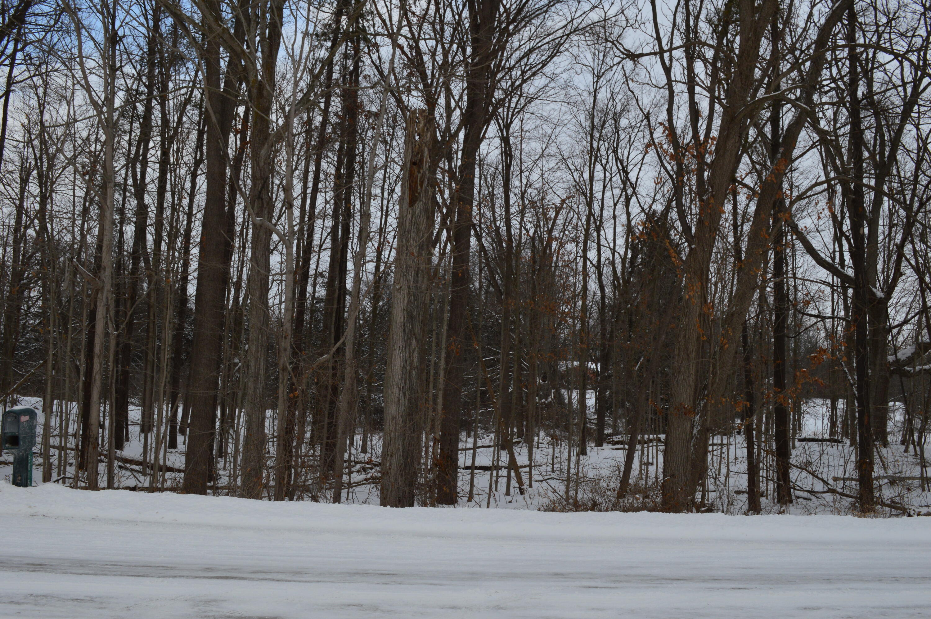 0 Willow Road Saline, MI 48176 - Photo 2 of 8 Willow Road facing North