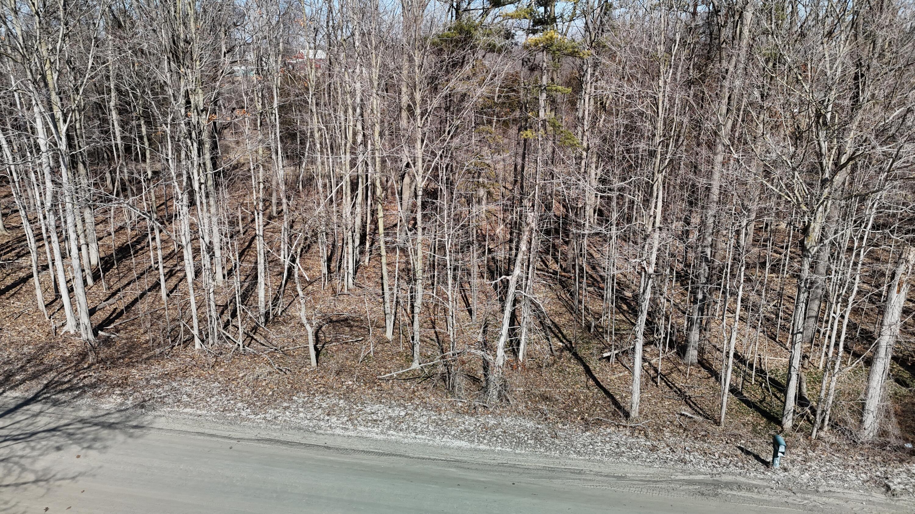 0 Willow Road Saline, MI 48176 - Photo 6 of 20 Aerial view from the road