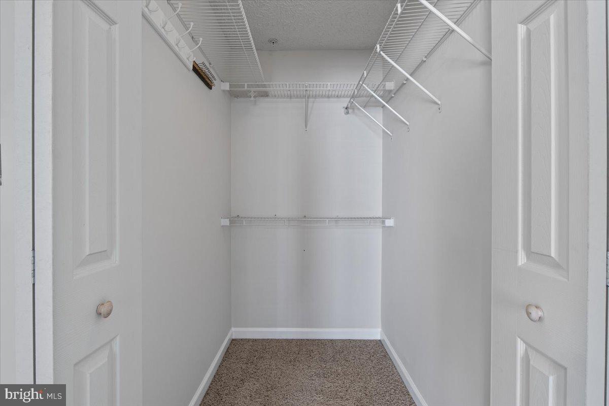 2445 Blue Spring Court, Unit 103 Odenton, MD 21113 - Photo 21 of 31 a view of walk in closet
