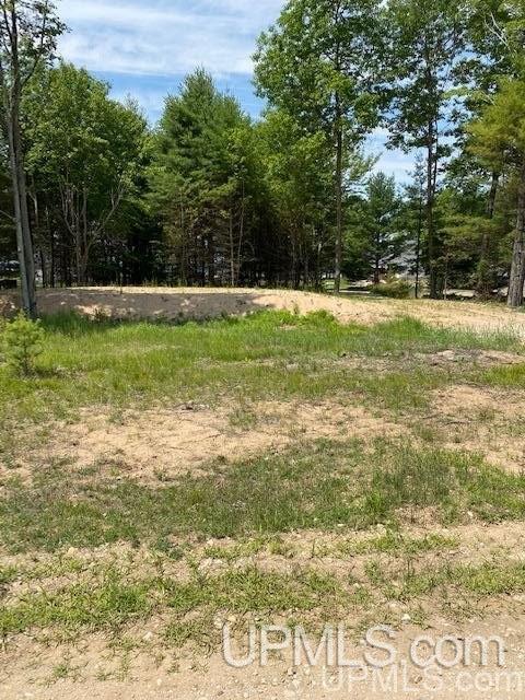 7752 R.75 Lane Rapid River, MI 49878 - Photo 8 of 9